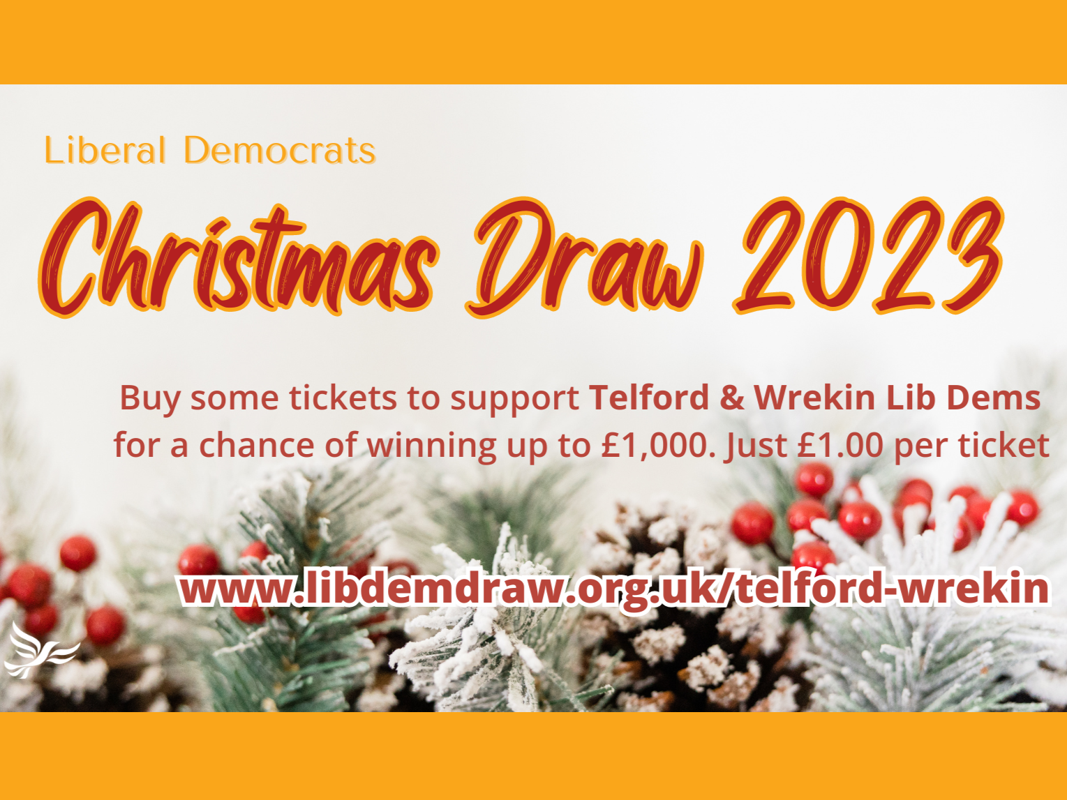 Lib Dem Christmas Draw